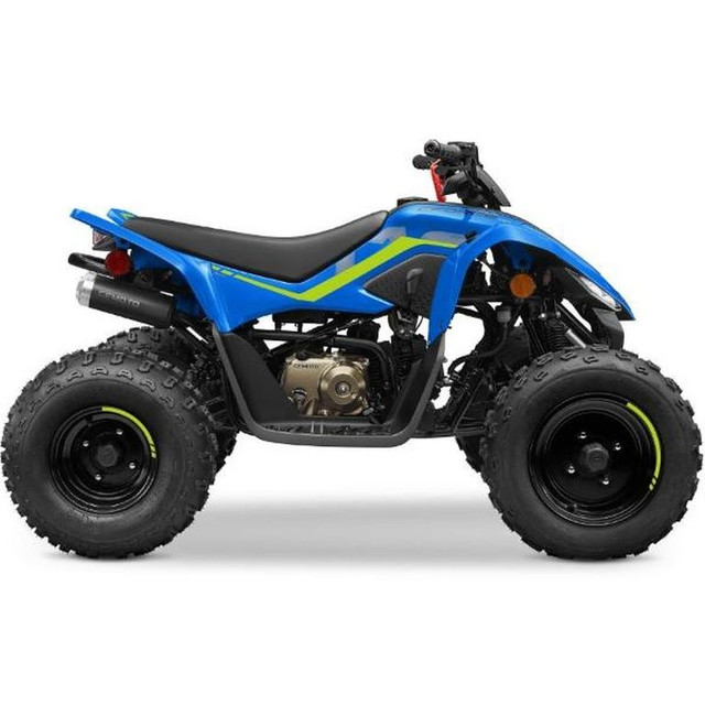 2024 CF MOTO CFORCE 110 in ATVs in Gatineau - Image 2