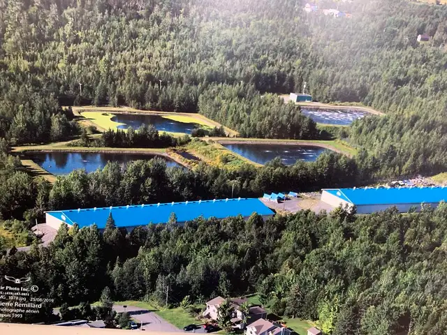 2025 Starcraft CX 23 DL BAR PONTON 3 TUBES, STARCRAFT, 200HP, Me in Powerboats & Motorboats in Thetford Mines - Image 32