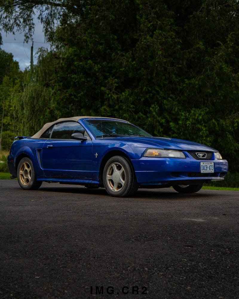 2002 Ford Mustang Basic | Cars & Trucks | Oakville / Halton Region | Kijiji