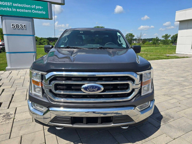 2021 Ford F-150 in Cars & Trucks in Ottawa - Image 2