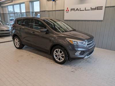 2017 Ford Escape SE 4WD