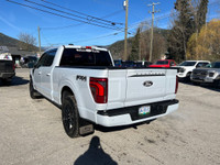 Skid Plates, Pro Power Onboard - 7.2KW, Platinum Black Leather Bucket, Wheel Well Liner, Bedliner Sp... (image 5)