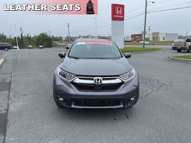 2019 Honda CR-V Ex-L in Cars & Trucks in St. John's - Image 4