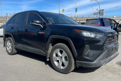 2019 Toyota RAV4 LE