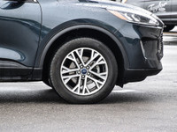 Please refer to https://taylorfordsales.com/new-inventory/ for up to date pricing breakdowns and pic... (image 6)