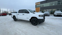 This 2025 RAM 1500 TRADESMAN CREW CAB 4X4 has the following options Cloth Bench Seat, Remote Start S... (image 1)