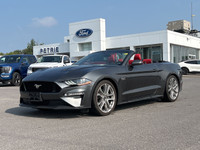 2019 Ford Mustang Gt Premium- NO REPORTED ACCIDENTS 