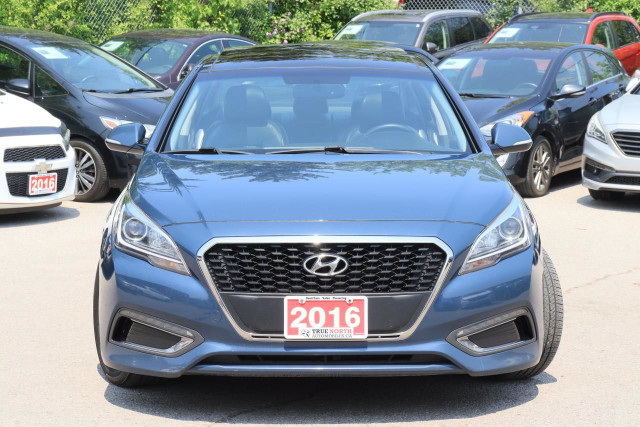 2016 Hyundai Sonata Hybrid Limited | Leather | Roof | Nav | Cam  dans Autos et camions  à Région d’Oshawa/Durham - Image 4