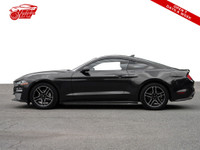 Check out this sleek 2023 Ford Mustang EcoBoost Coupe with only 56,000 kms on it! With its powerful... (image 5)