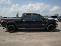 The 2014 Ford F-150 XLT is a versatile and dependable full-size pickup---perfect for both work and e... (image 7)