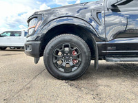 Recent Arrival! 4WD, 6 Speakers, 6 Black Running Boards, AM/FM radio: SiriusXM with 360L, Black Fron... (image 2)