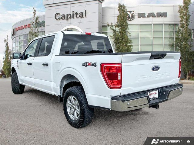 2023 Ford F-150 XLT | Accident Free Carfax | in Cars & Trucks in Edmonton - Image 4