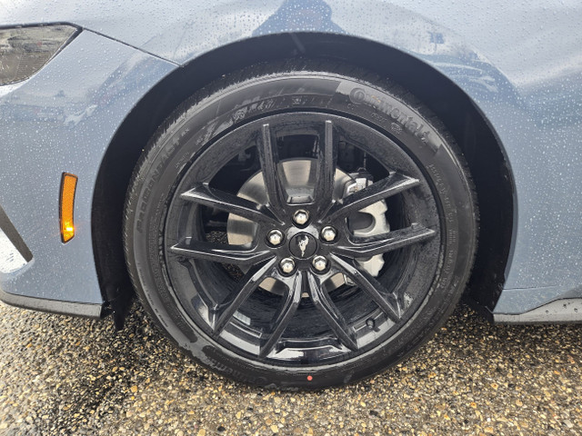 2025 Ford Mustang ECOBOOST PREMIUM | NITE PONY PKG | CO-PILOT360 in Cars & Trucks in Calgary - Image 4