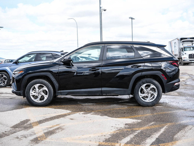 2023 Hyundai Tucson Preferred AWD 5.99% Available in Cars & Trucks in Winnipeg - Image 4