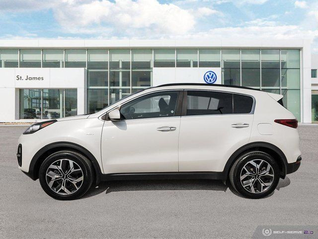 2020 Kia Sportage EX | CLEAN CARFAX | PANORAMIC SUNROOF in Cars & Trucks in Winnipeg - Image 2