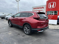 Experience the 2021 Honda CR-V Sport, a head-turner in Radiant Red Metallic. This Certified Pre-Owne... (image 6)