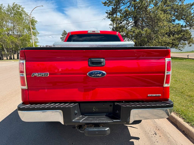 2014 Ford F-150 XLT 4WD 5.0L = 129k = CLEAN CAR FAX in Cars & Trucks in Edmonton - Image 4