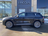 This Executive Driven Lincoln has been carefully driven by one of our employees or as a courtesy ser... (image 1)