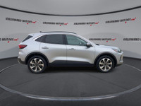 This Ford Escape has a dependable Turbo Gas 4cyl 2.0L engine powering this Variable transmission. EN... (image 8)