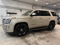 AMERIKAL AUTO – 3160 WILKES AVENUE, WINNIPEG MANITOBA. ALL PREMIUM PRE-OWNED VEHICLES. PLEASE CALL T... (image 1)