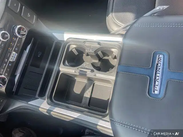 2025 Ford Super Duty F-350 SRW Platinum in Cars & Trucks in Brandon - Image 27