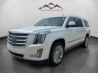 The 2016 Cadillac Escalade ESV Platinum in White combines robust 4×4 capabilities with luxurious dri... (image 1)