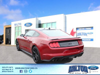 2020 MUSTANG - GT COUPE PREMIUM SERIES - LED HEADLAMPS & TAILIGHTS - LEATHER STEERING WHEEL W/ CONTR... (image 3)