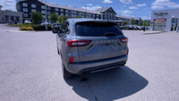 All Wheel Drive. Leather Interior. Touchscreen. Bluetooth. Remote Start. Rear View Backup Camera. Pu... (image 7)