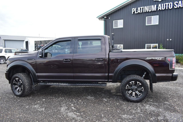 2019 Ford F-150 XLT - 2.7L ECOBOOST in Cars & Trucks in Winnipeg - Image 3