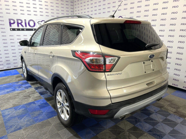 2017 Ford Escape in Cars & Trucks in Ottawa - Image 3