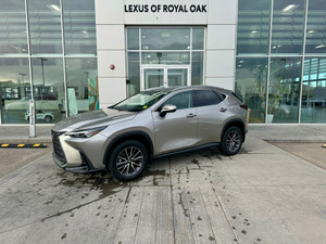 2023 Lexus NX 250 Other