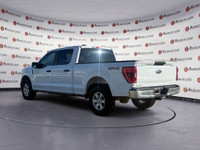 Thanks for viewing our House Of Cars Argyll inventory! AMVIC licensed dealer! The 2022 Ford F-150 XL... (image 3)