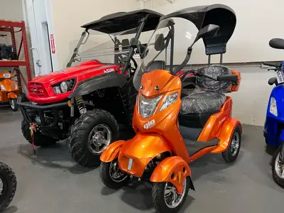 GIO ELEMENT 4-WHEELED MOBILITY SCOOTER Price Transparency MSRP $3,895 Assembly & PDI $100 Final Pric...