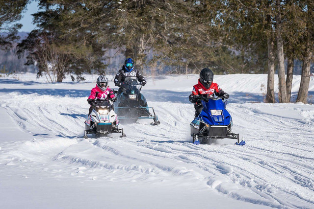 2024 Yamaha SNOSCOOT ES Team Yamaha Blue/White in Snowmobiles in Peterborough - Image 3