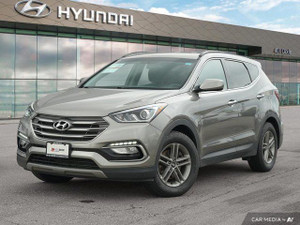 2018 Hyundai Santa Fe WG
