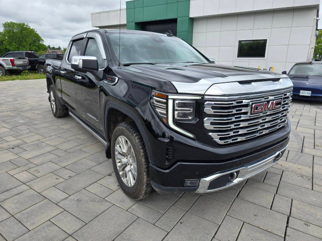 2024 GMC Sierra 1500 in Cars & Trucks in Ottawa - Image 3