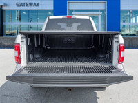 Ready for anything, built for everything. The 2019 Ford F-150 XLT 4x4 stands as a testament to Ameri... (image 9)