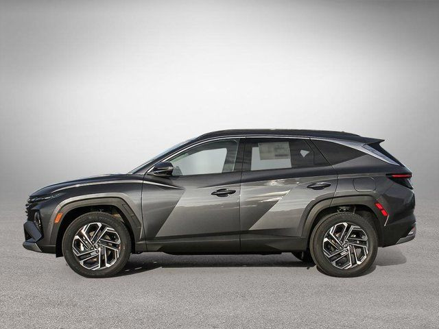 2025 Hyundai Tucson Hybrid Ultimate in Cars & Trucks in Fredericton - Image 3