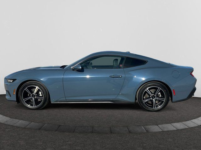 2025 Ford Mustang EcoBoost Premium in Cars & Trucks in Regina - Image 2