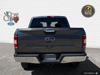 - ONE OWNER - 5.0L V8 ENGINE - CLOTH SEATS - TRAILER TOW PKG - PRE-COLLISION ASSIST w/AEB - BACK UP... (image 4)