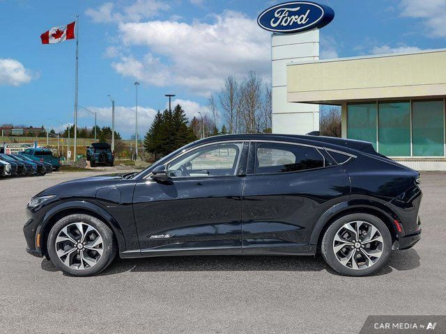 2021 Ford Mustang Mach-E Premium in Cars & Trucks in Kitchener / Waterloo - Image 4