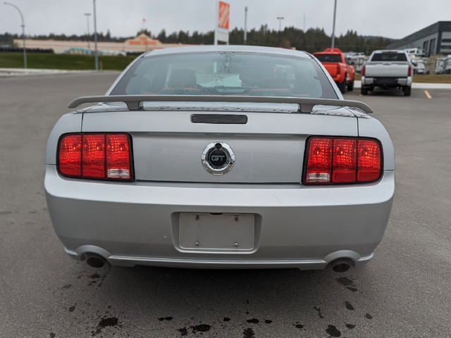 2005 Ford Mustang GT - Low Mileage in Cars & Trucks in Cranbrook - Image 4