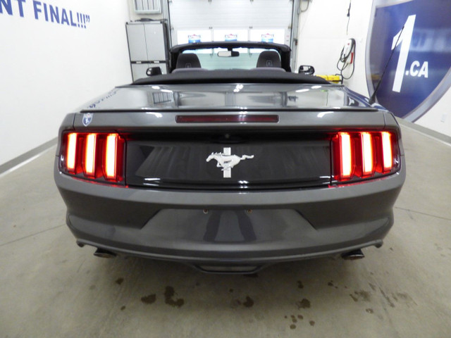 2016 FORD MUSTANG V6 CONVERTIBLE, AUTOMATIQUE, TOUT ÉQUIPÉ!!! in Cars & Trucks in City of Montréal - Image 4