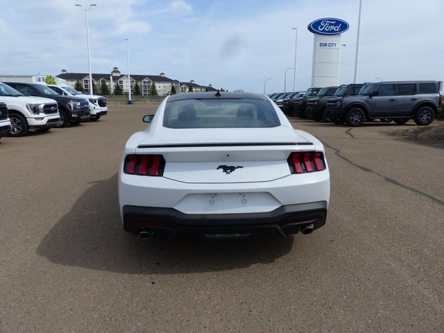 2025 Ford Mustang EcoBoost 101A in Cars & Trucks in Medicine Hat - Image 4