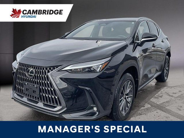 2024 Lexus NX 350h | Sunroof | Red Leather in Cars & Trucks in Cambridge