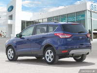 **HOT TRADE ALERT!!** Check out this locally owned 2016 Ford Escape SE 4WD powerhouse loaded with pe... (image 3)