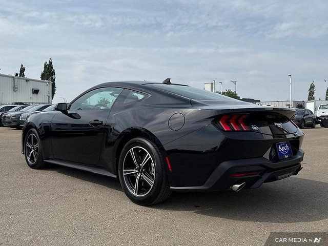 2024 Ford Mustang EcoBoost in Cars & Trucks in Edmonton - Image 4