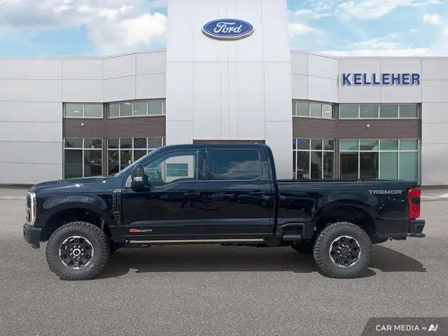 2025 Ford Super Duty F-350 SRW Platinum in Cars & Trucks in Brandon - Image 3