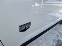 Big Bend 4x4 Engine: 1.5L ECOBOOST (image 6)