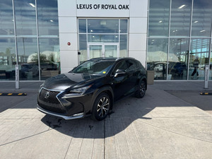 2017 Lexus NX 200t Other